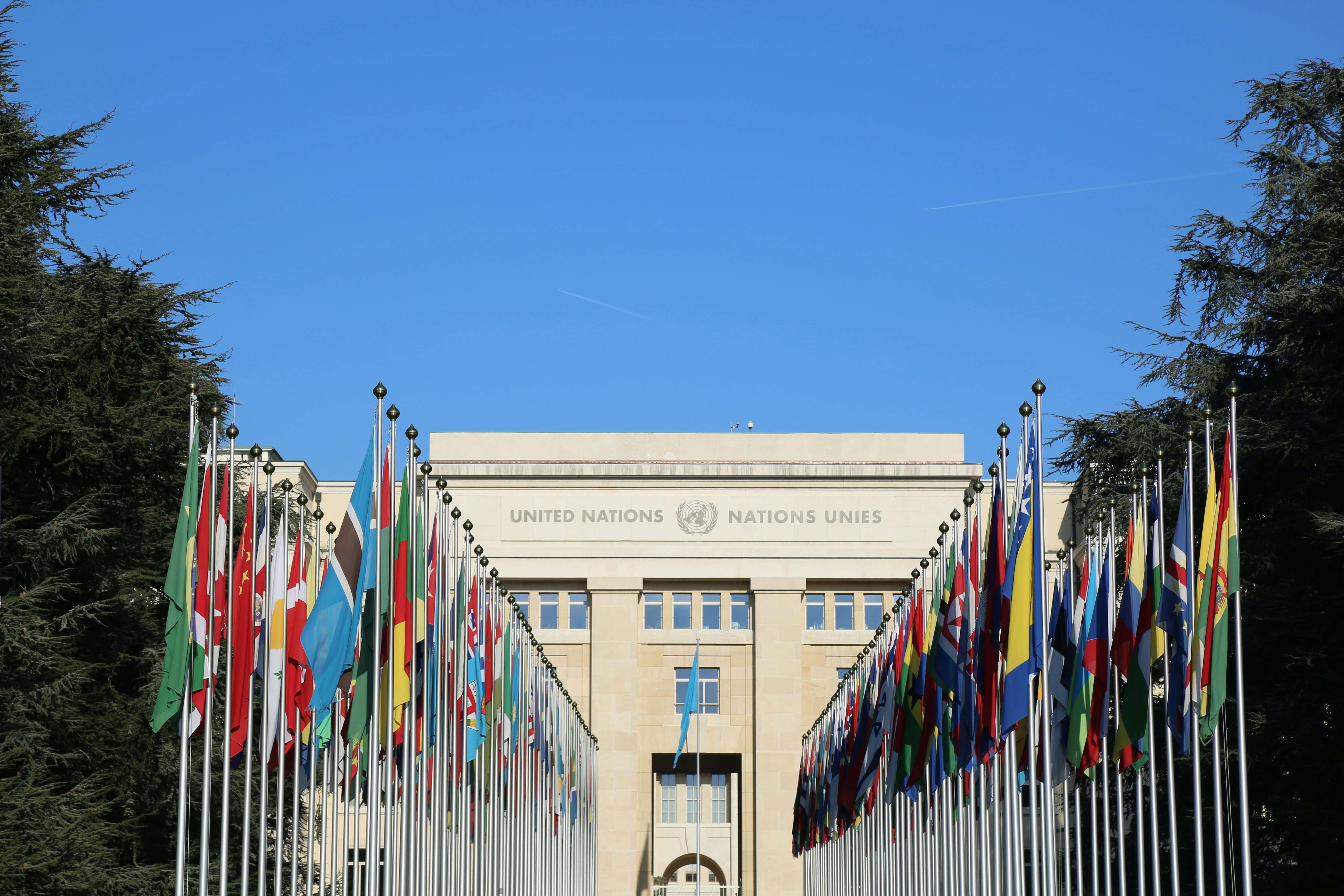 A Reformer for an Institution in Decline: What does the Next Secretary-General Inherits?