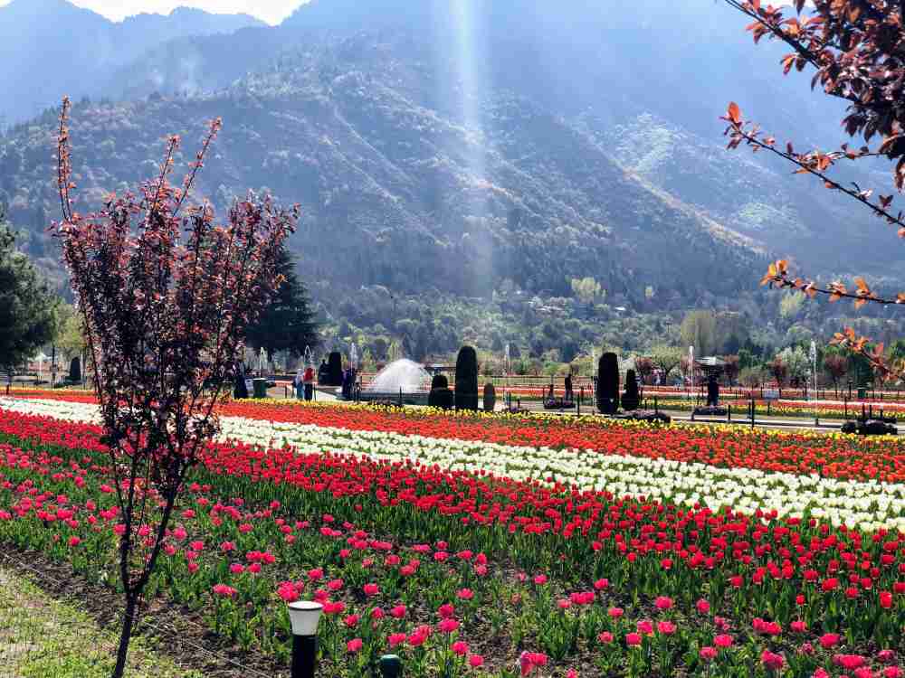 Takeaways from G-20 Tourism Summit in Kashmir