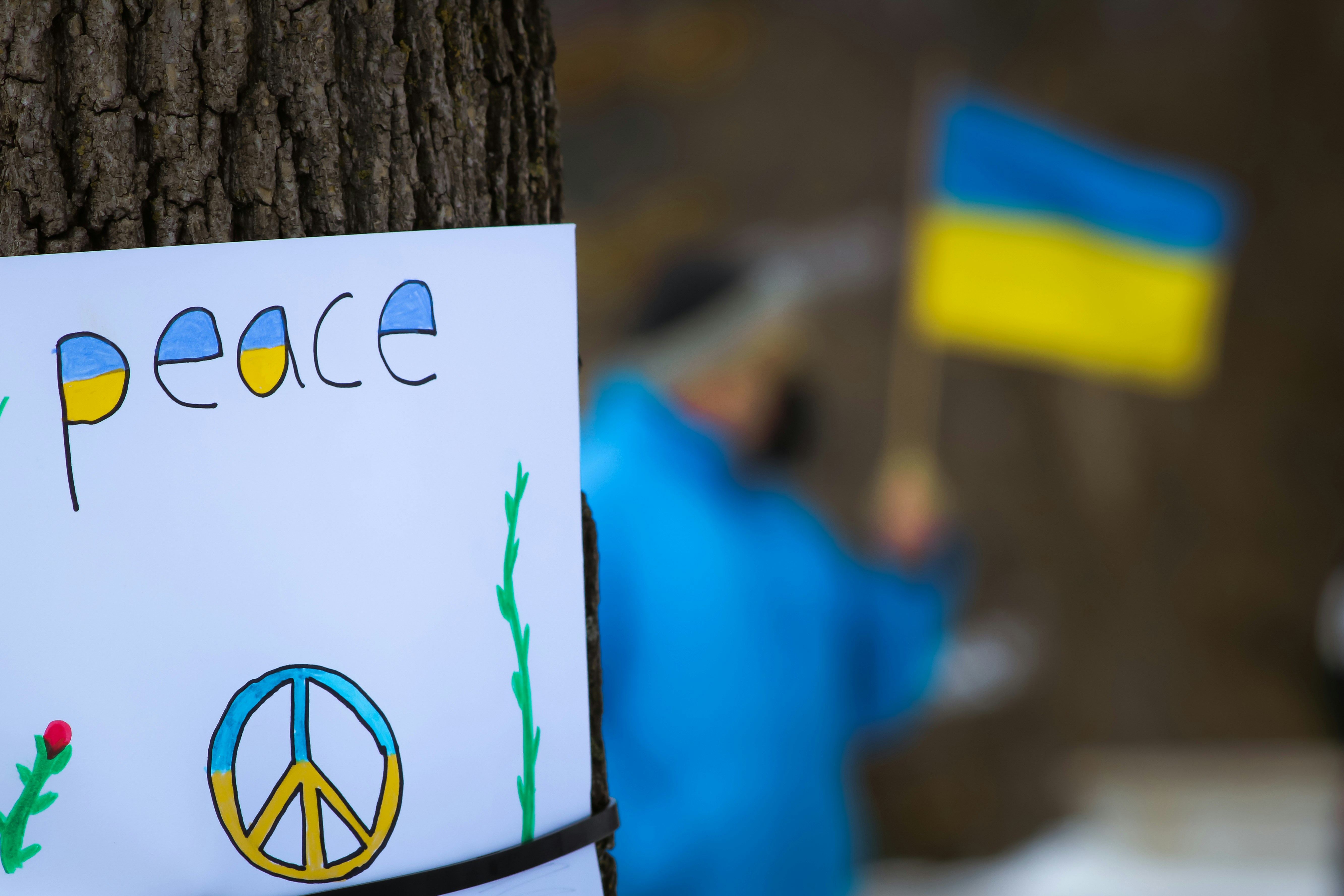 The Environmental and Energy Consequences of the Russia – Ukraine War
